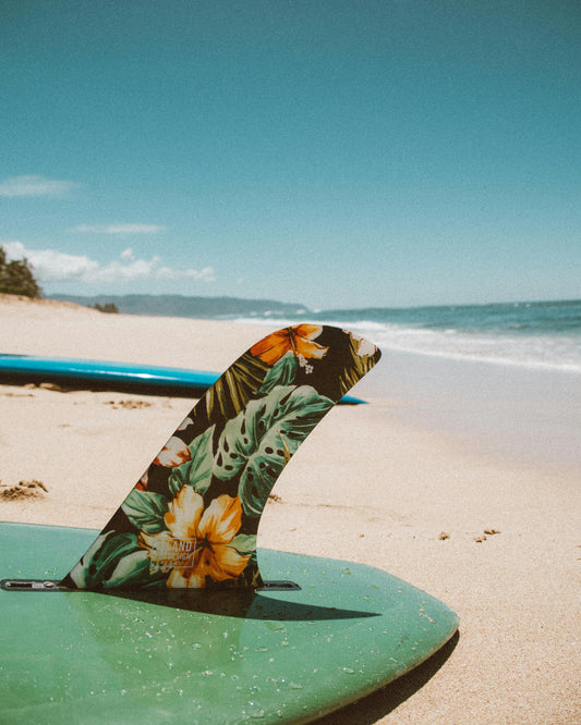 Top 10 Things To Do On The North Shore of Oahu